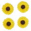 Royal icing Sunflowers