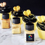 Photo showing a selection of the edible gold dusts available in the Vivid range, great for adding lustre to edible creations for cakes and cupcakes, can also be made into an edible paint.