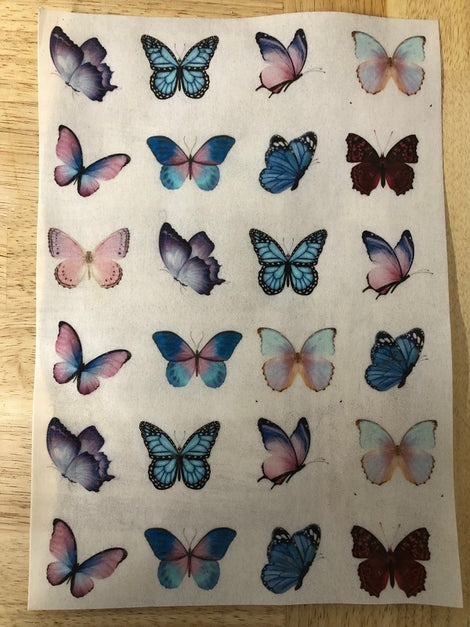 Wafer paper butterflies - Kiwicakes - Cake Decorating Supplies Whangarei